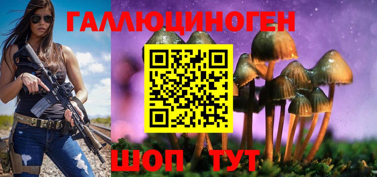 Псилоцибиновые грибы Cubensis Коломна