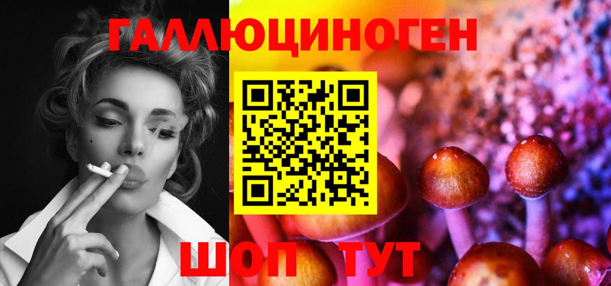 Галлюциногенные грибы прущие грибы  Вход с VPN  Коломна  Псилоцибиновые грибы GOLDEN TEACHER 