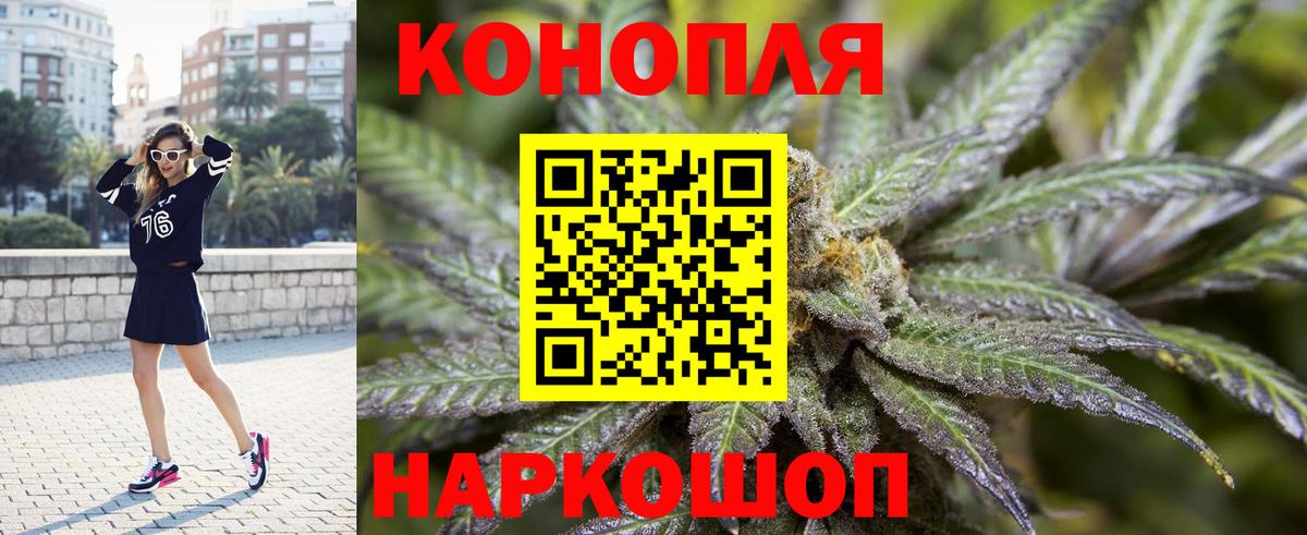 Конопля OG Kush Коломна